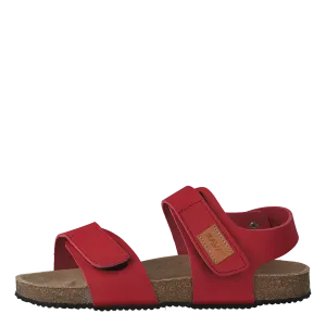 Bomhus Xc Red