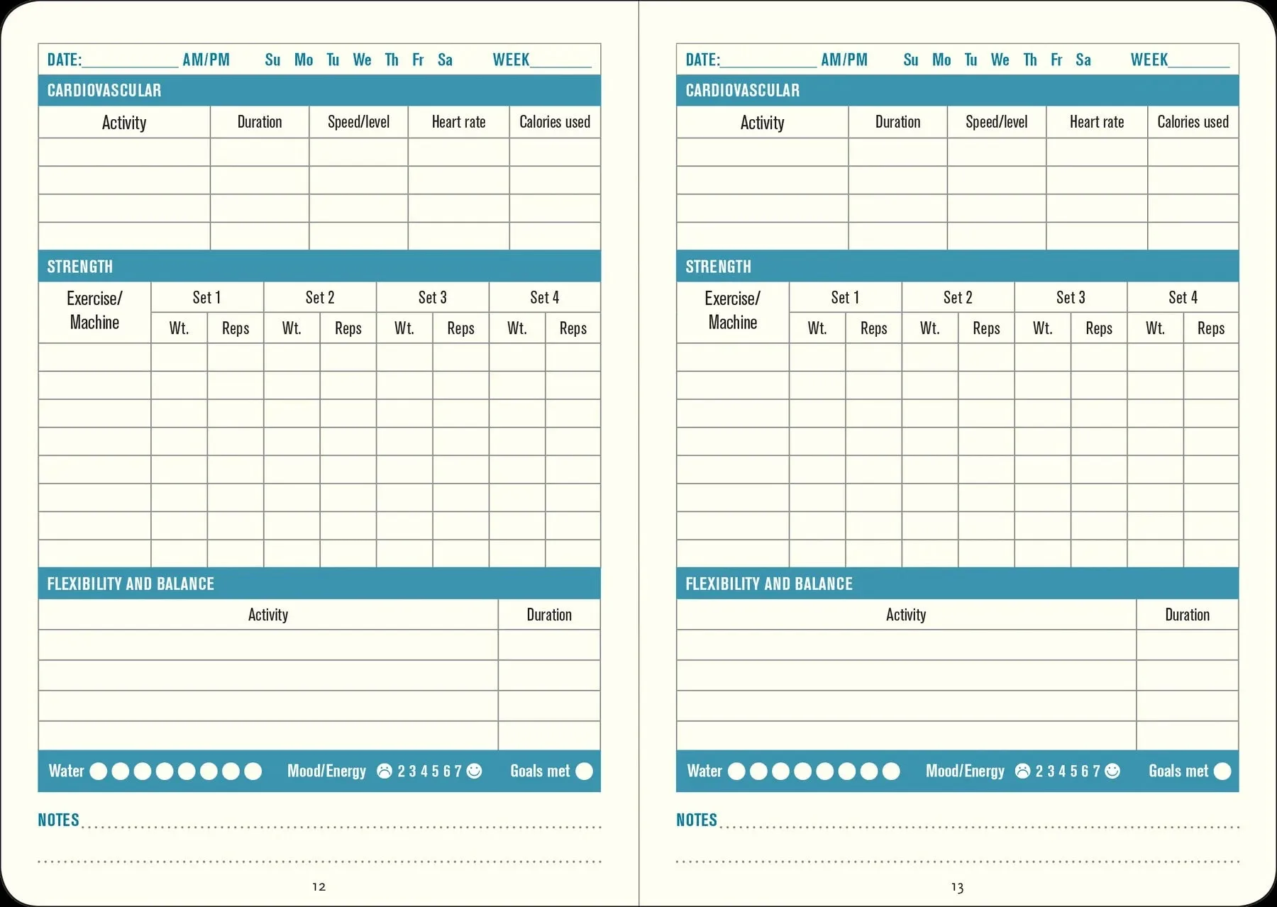 Daily Fitness Journal