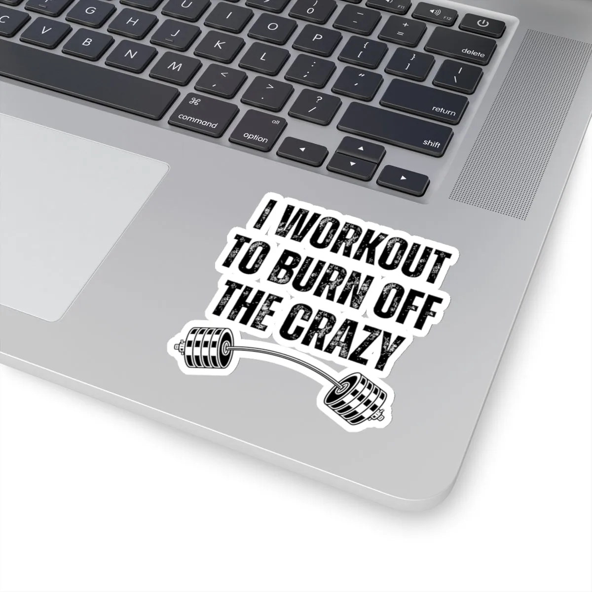 Funny Workout Sticker for Gym Lover gift for Fitness Lover sticker, Gym Sticker, I Workout to Burn Off the Crazy Sticker