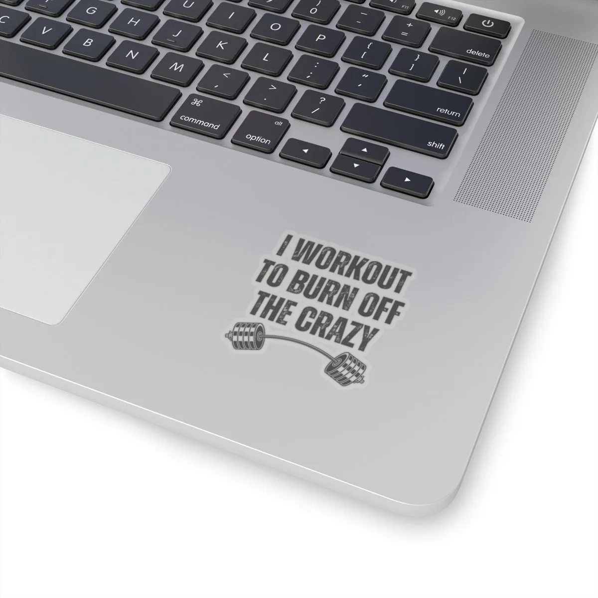 Funny Workout Sticker for Gym Lover gift for Fitness Lover sticker, Gym Sticker, I Workout to Burn Off the Crazy Sticker