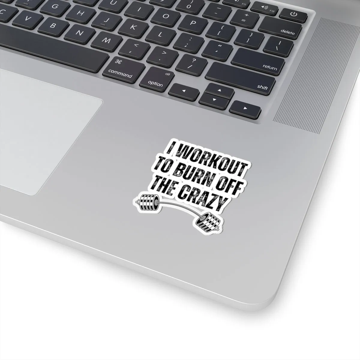 Funny Workout Sticker for Gym Lover gift for Fitness Lover sticker, Gym Sticker, I Workout to Burn Off the Crazy Sticker