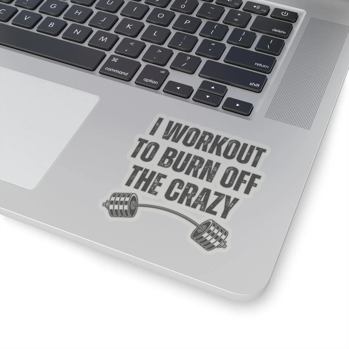 Funny Workout Sticker for Gym Lover gift for Fitness Lover sticker, Gym Sticker, I Workout to Burn Off the Crazy Sticker