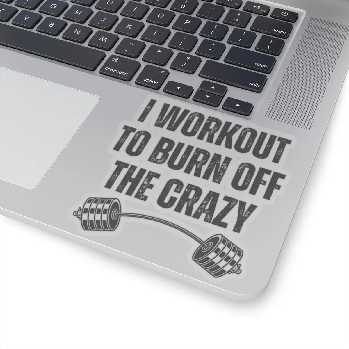 Funny Workout Sticker for Gym Lover gift for Fitness Lover sticker, Gym Sticker, I Workout to Burn Off the Crazy Sticker