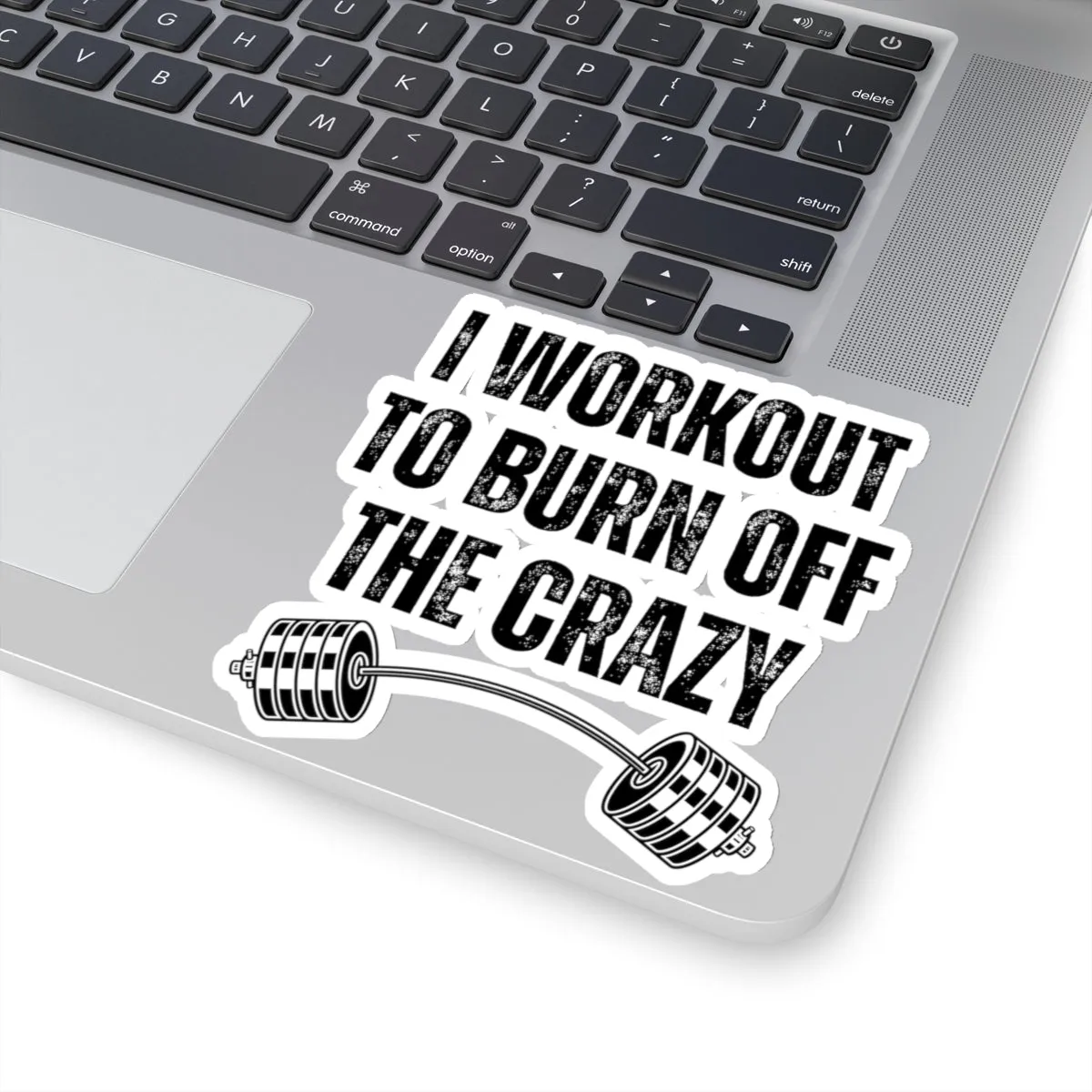 Funny Workout Sticker for Gym Lover gift for Fitness Lover sticker, Gym Sticker, I Workout to Burn Off the Crazy Sticker