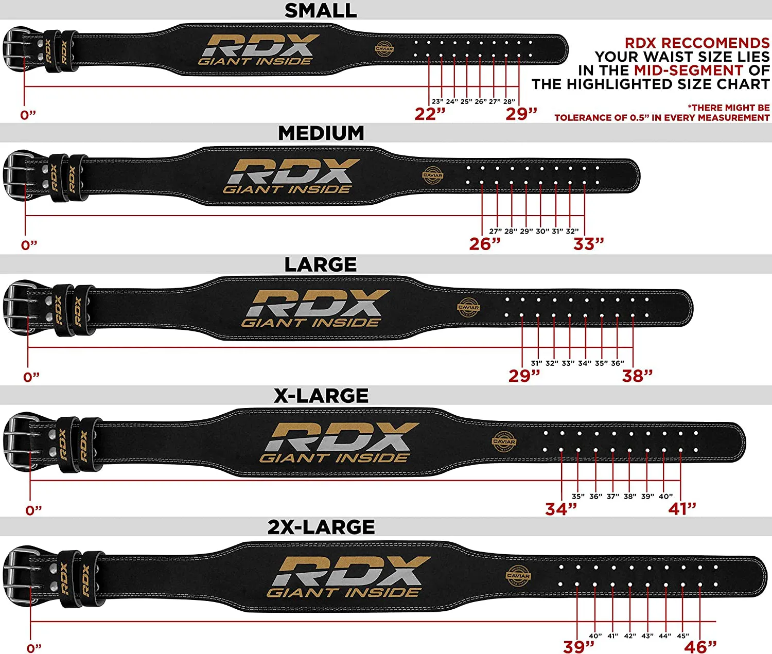 RDX Weight Lifting Belt Gym Fitness, Cowhide Leather, 4” Padded Lumbar Back Support, 10 Adjustable Holes, Powerlifting Bodybuilding Deadlifts Squats Exercise Workout, Strength Training Equipment