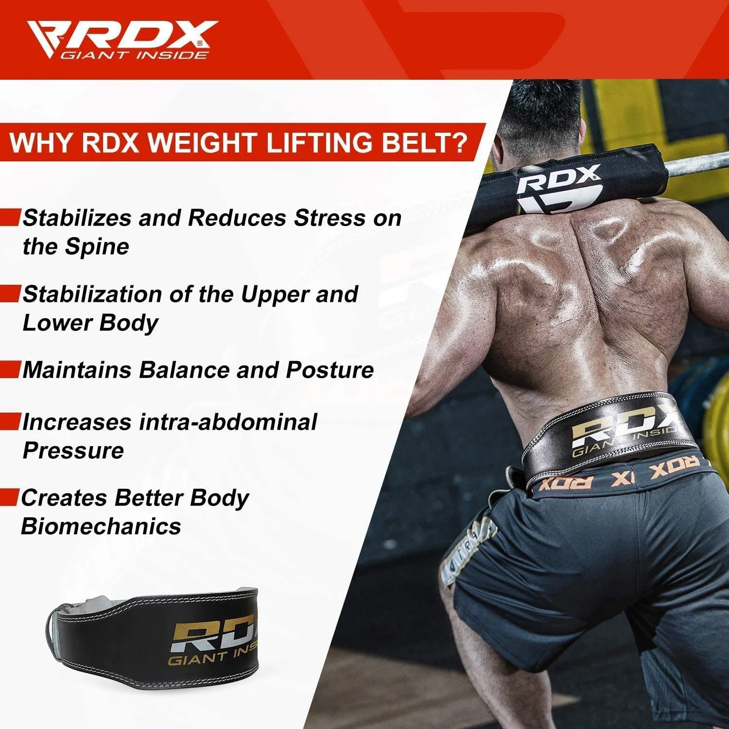 RDX Weight Lifting Belt Gym Fitness, Cowhide Leather, 4” Padded Lumbar Back Support, 10 Adjustable Holes, Powerlifting Bodybuilding Deadlifts Squats Exercise Workout, Strength Training Equipment